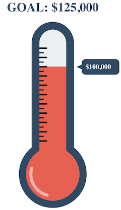Goal Thermometer grey and red